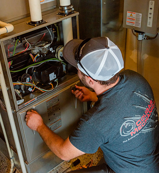 Furnace Tune Up Services