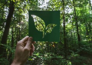Hand holding dark green card with leaf cutout revealing forest canopy behind it.